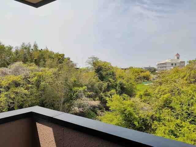 12/14 バルコニー