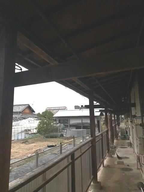 15/29 バルコニー