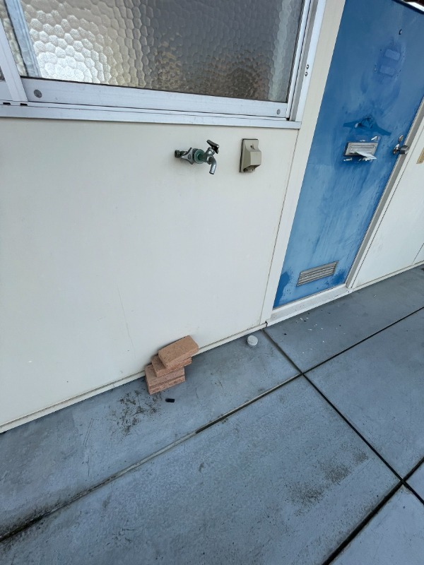 20/24 その他画像