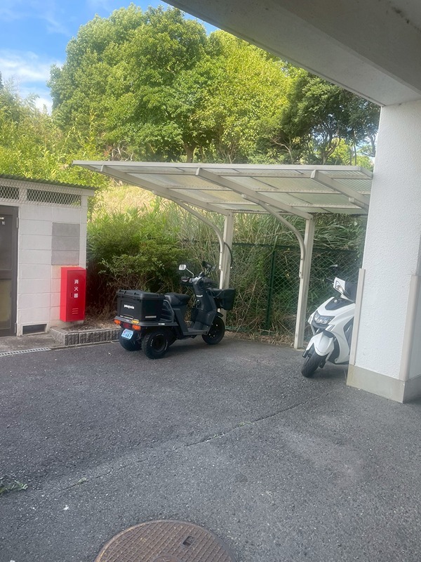 19/26 その他画像