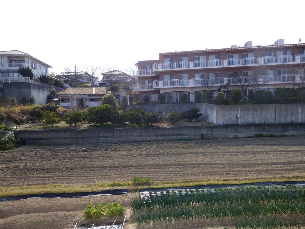 20/29 その他画像