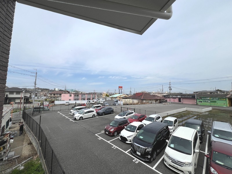 20/30 その他画像