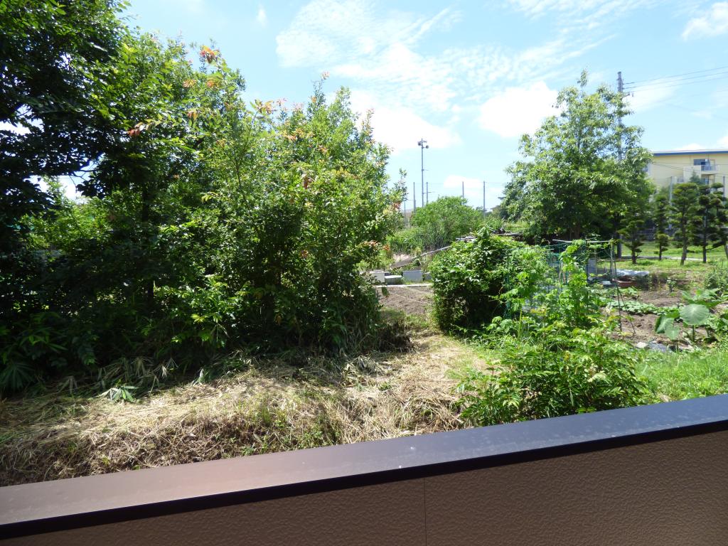 20/30 その他画像