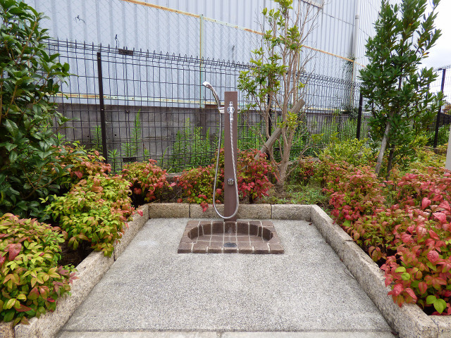 15/19 その他画像