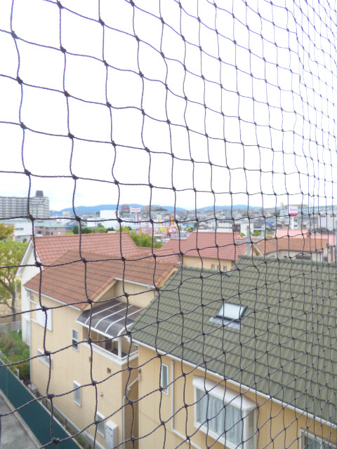 17/26 その他画像