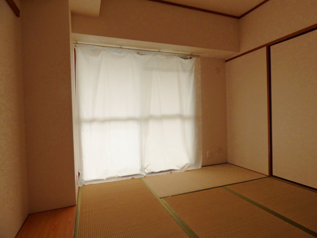 17/25 その他画像