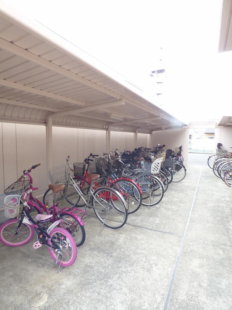 20/30 その他画像