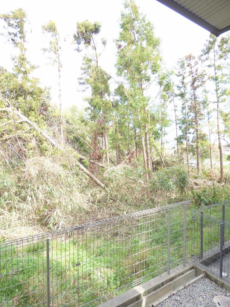 19/26 その他画像