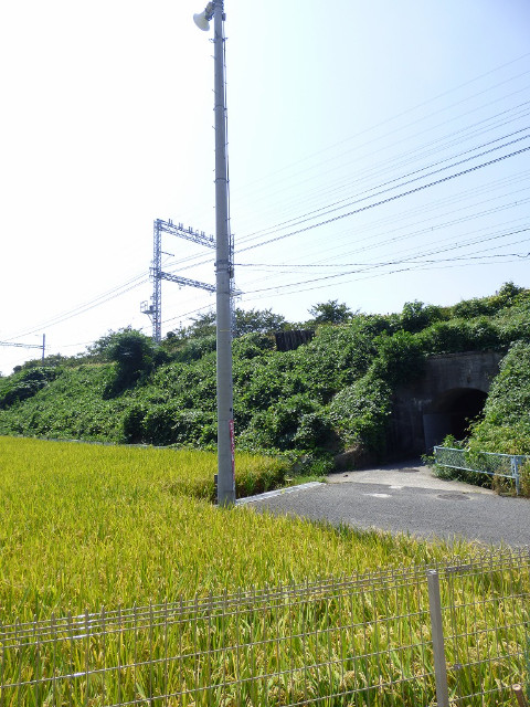 19/28 その他画像