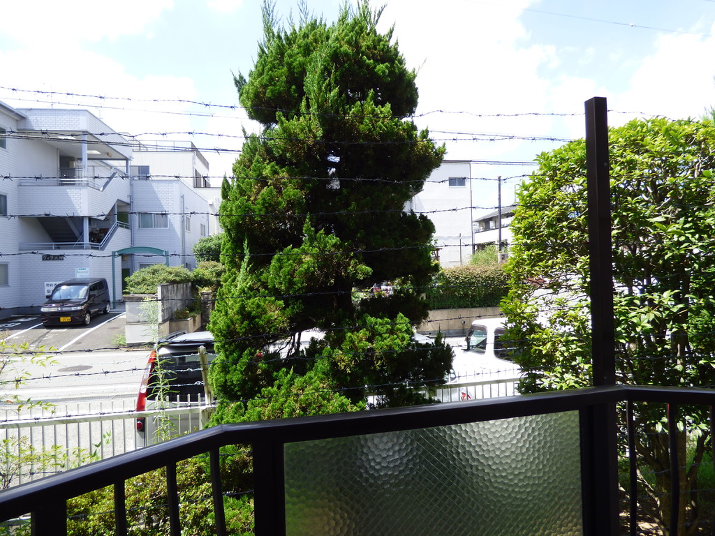 15/24 その他画像