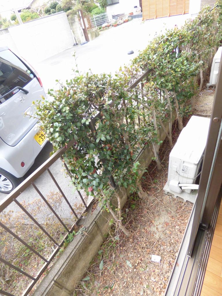 16/29 バルコニー