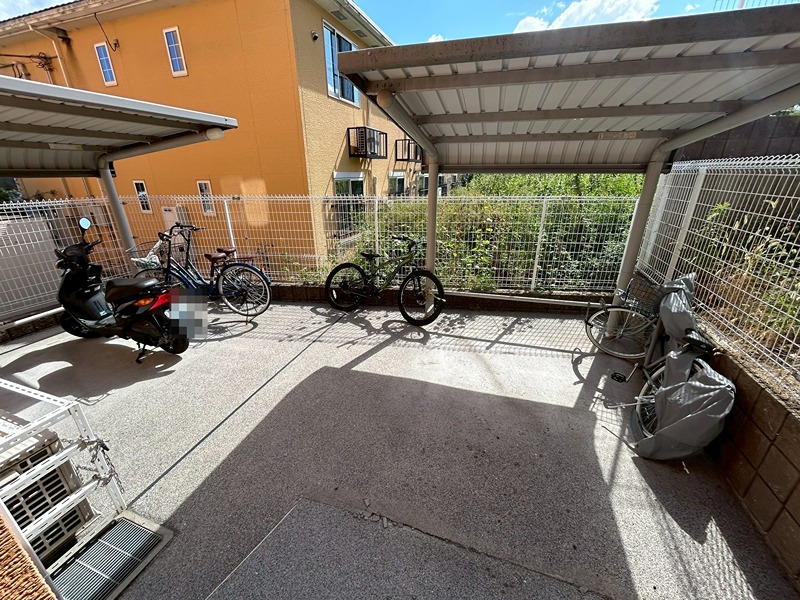 21/24 その他画像