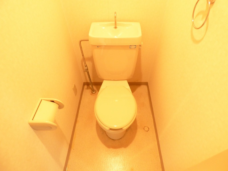 11/26 トイレ