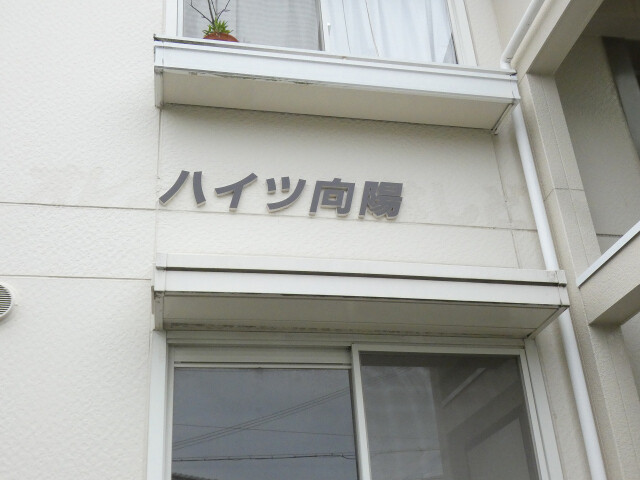 25/29 その他画像