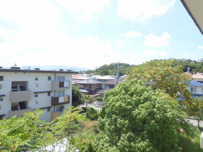 17/26 その他画像