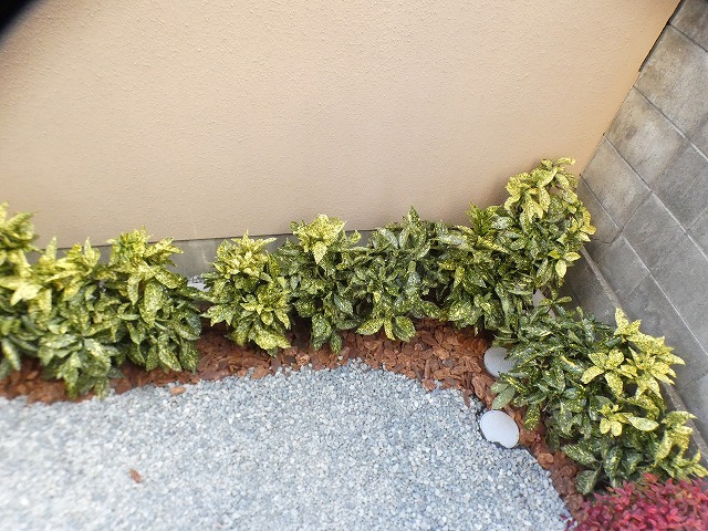 27/29 その他画像