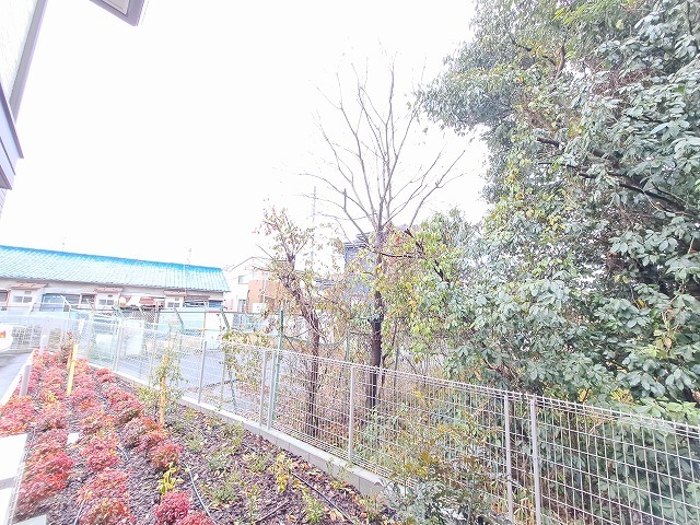 15/30 その他画像