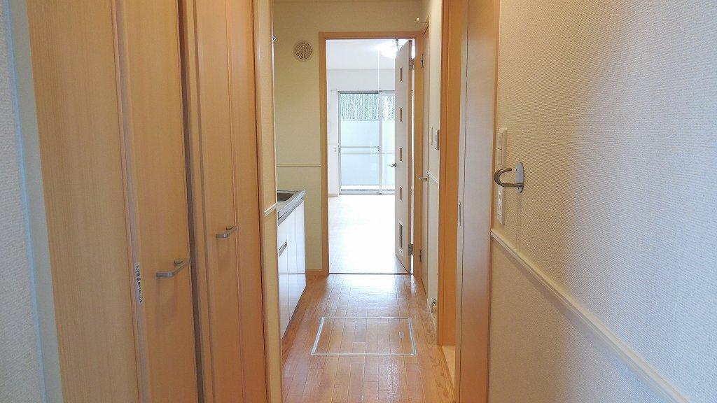 17/25 その他画像