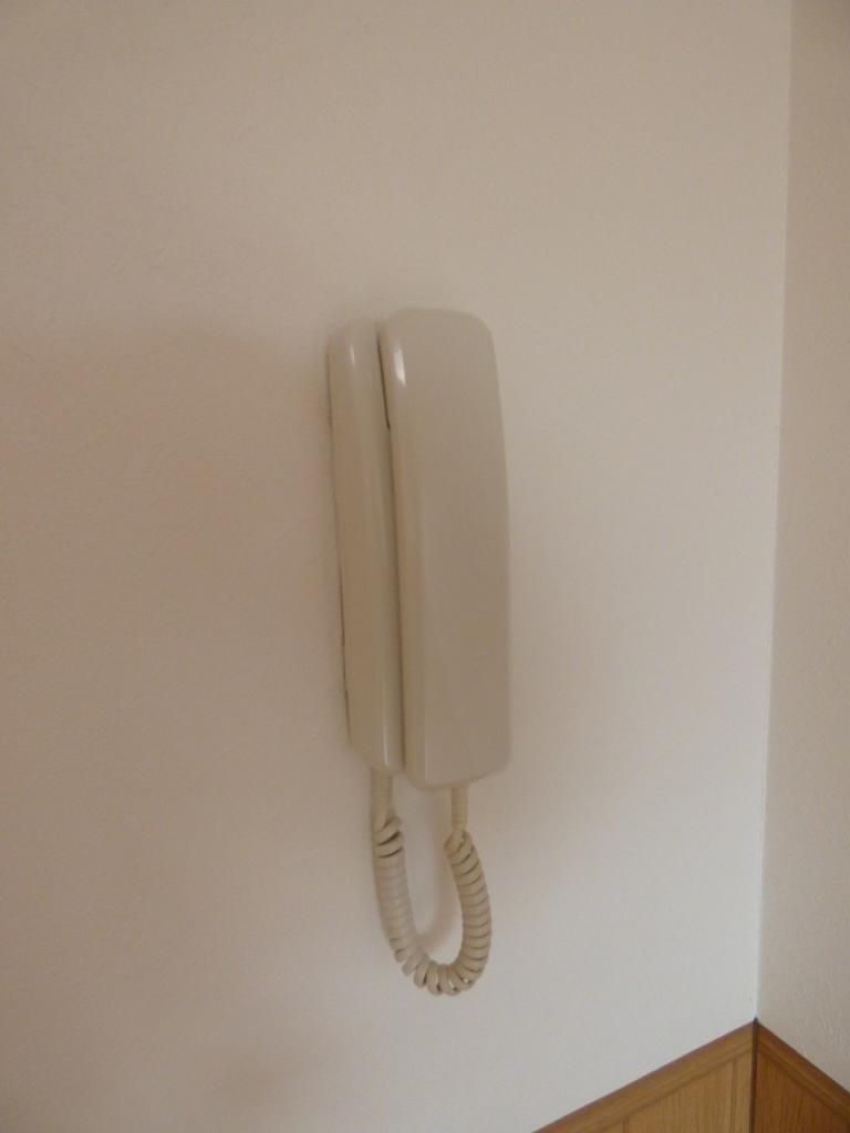 17/25 その他画像