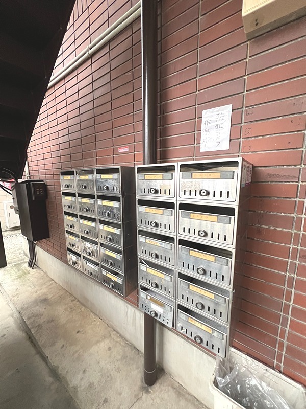 20/30 その他画像