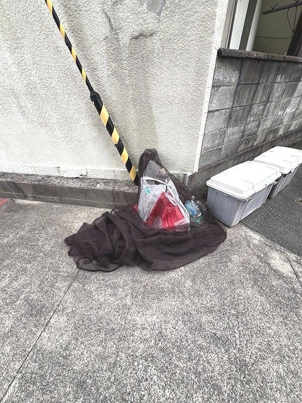 20/30 その他画像