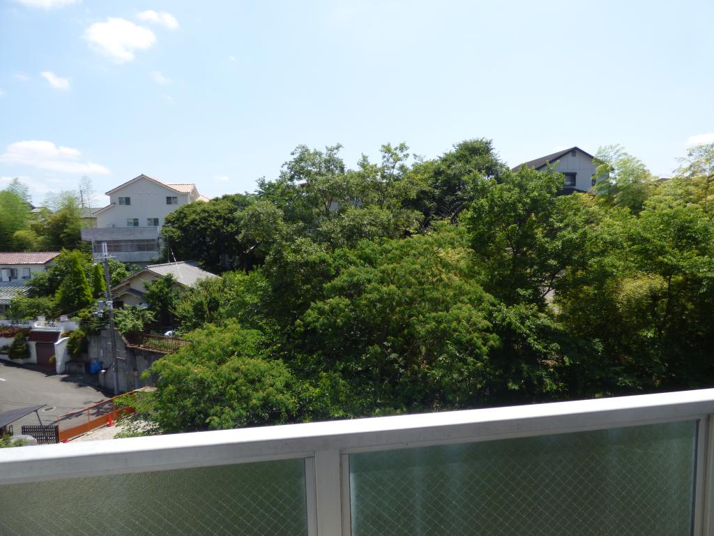 19/28 その他画像