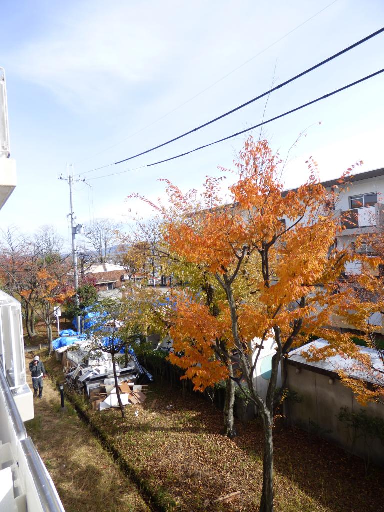 18/30 その他画像