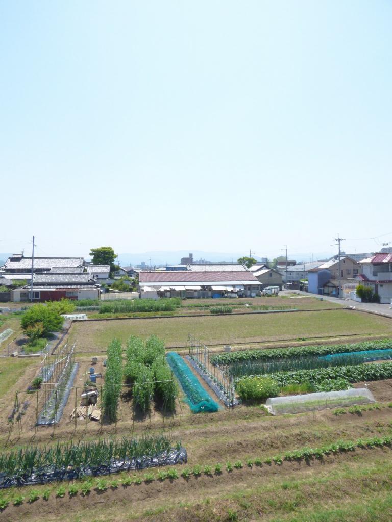 17/26 その他画像