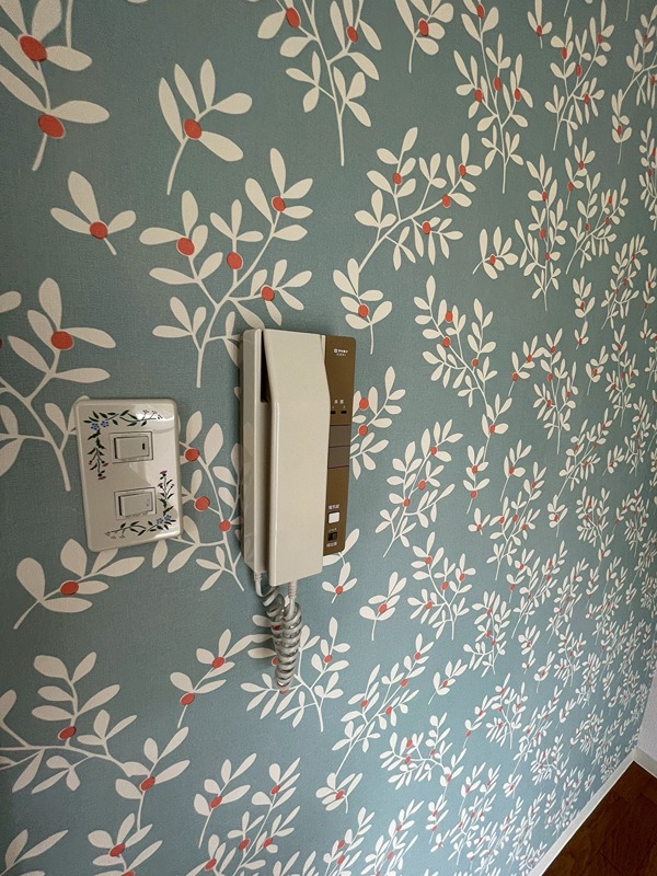 15/25 その他画像