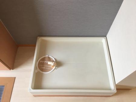 16/23 その他画像