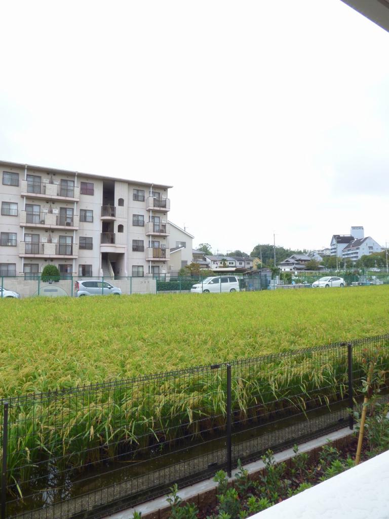 22/25 その他画像