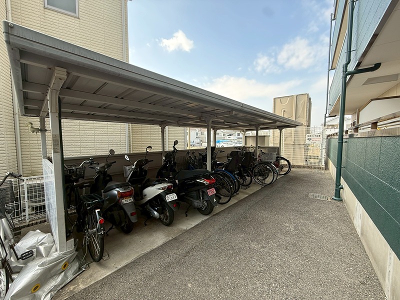 12/29 その他画像