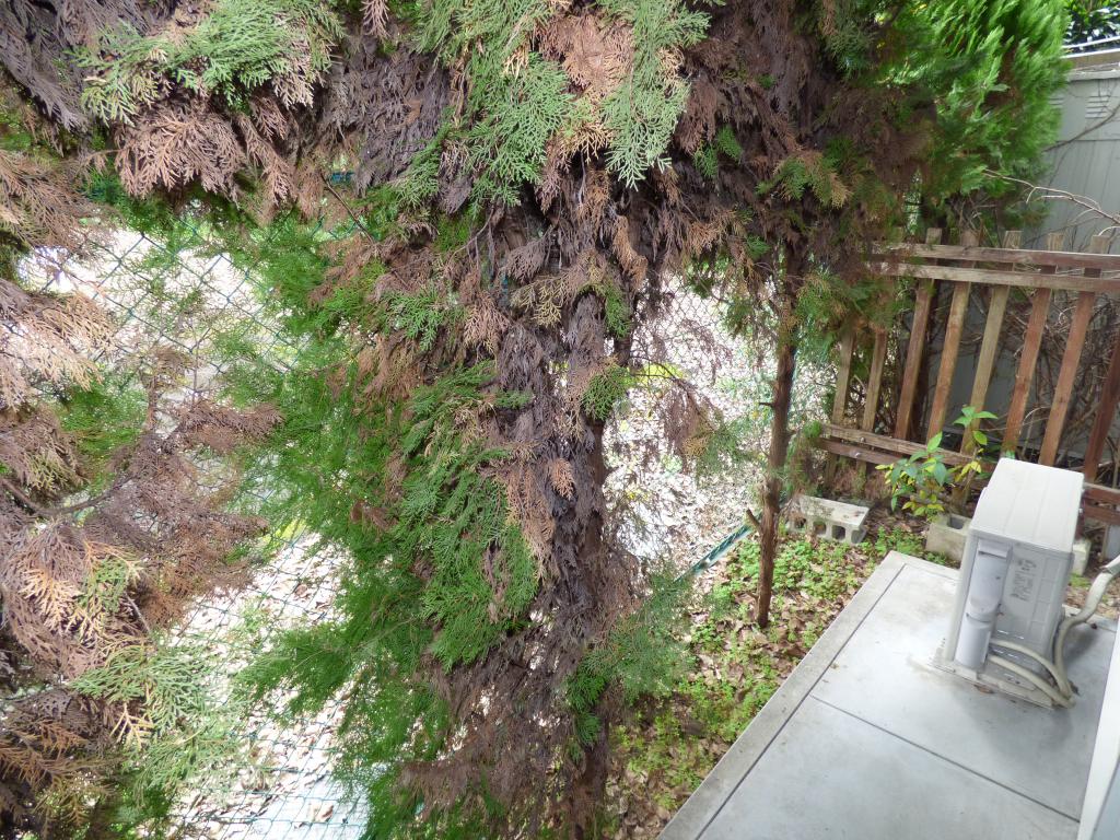 18/28 バルコニー