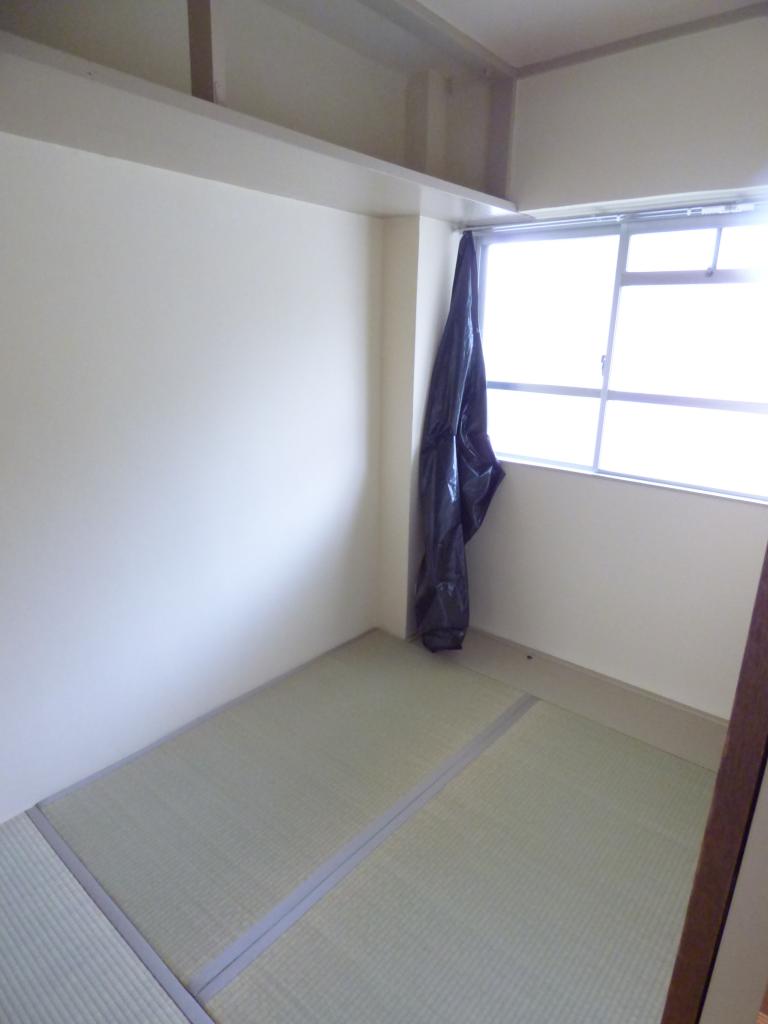 15/30 その他画像