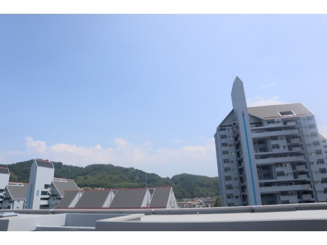 15/19 その他画像