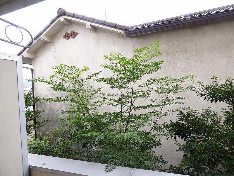 18/21 その他画像