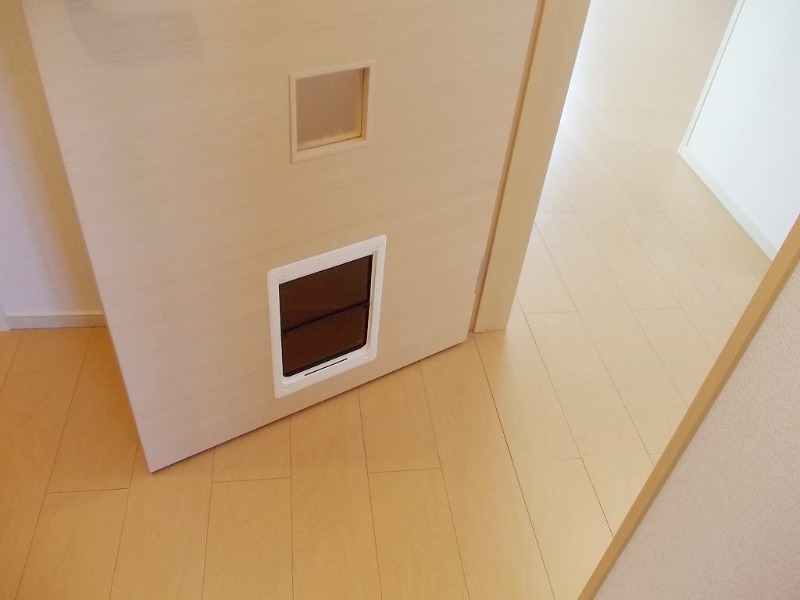 20/25 その他画像