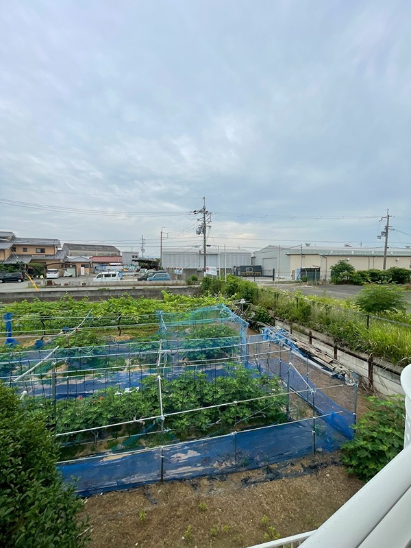 19/28 その他画像