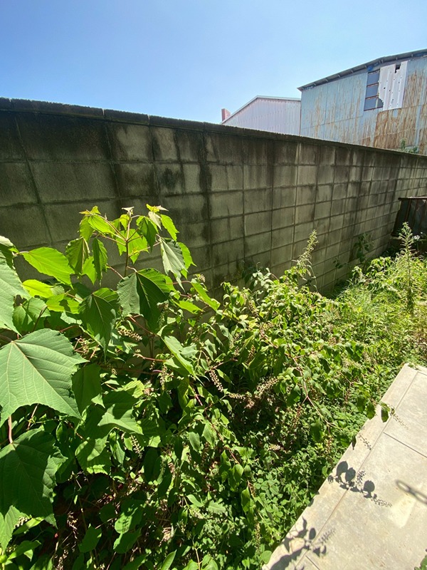 23/29 バルコニー