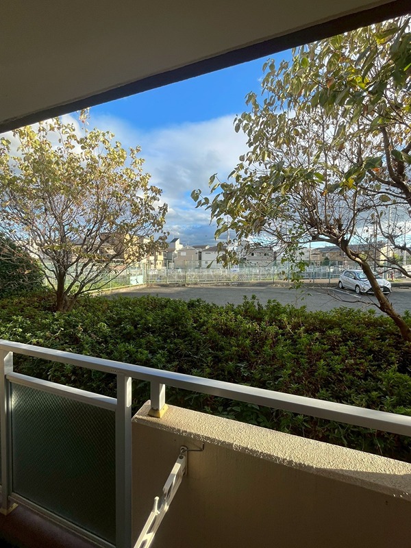 17/30 その他画像