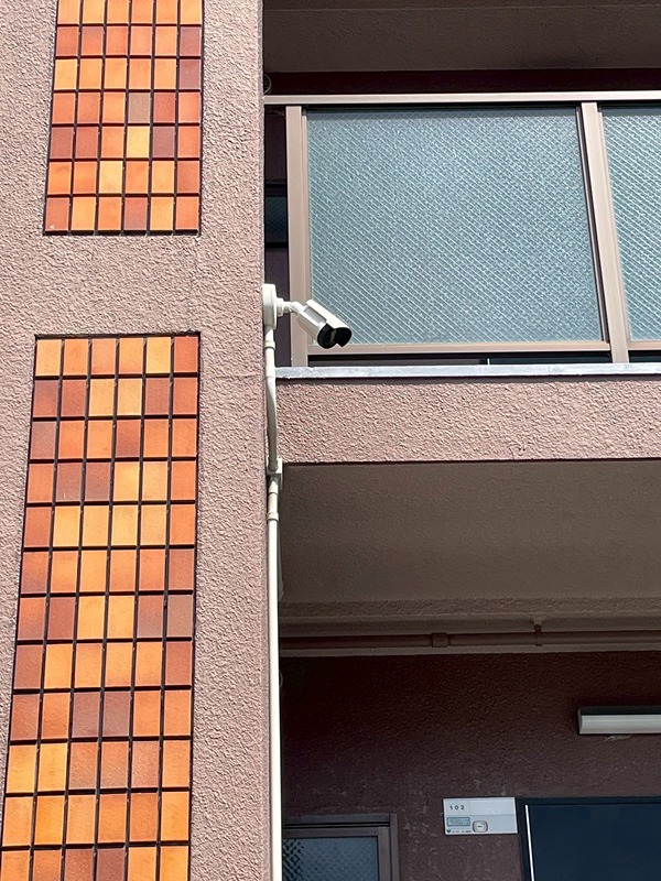 19/29 その他画像