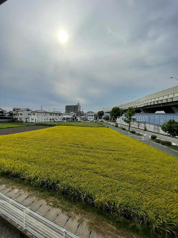 16/28 その他画像