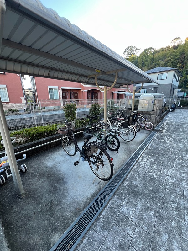 21/29 その他画像