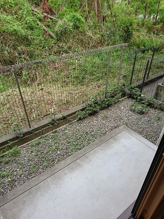 12/23 バルコニー