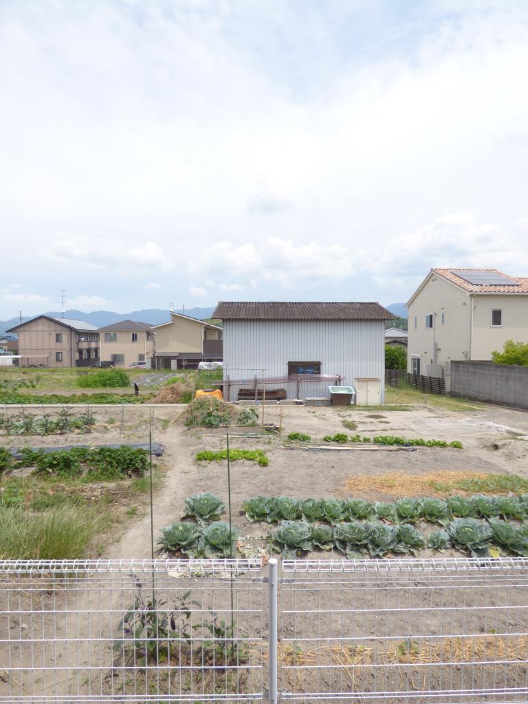 16/26 その他画像