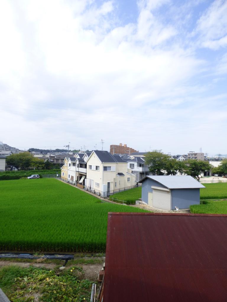 21/24 その他画像