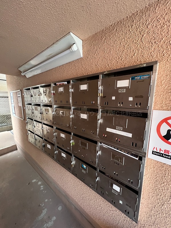 15/29 その他画像