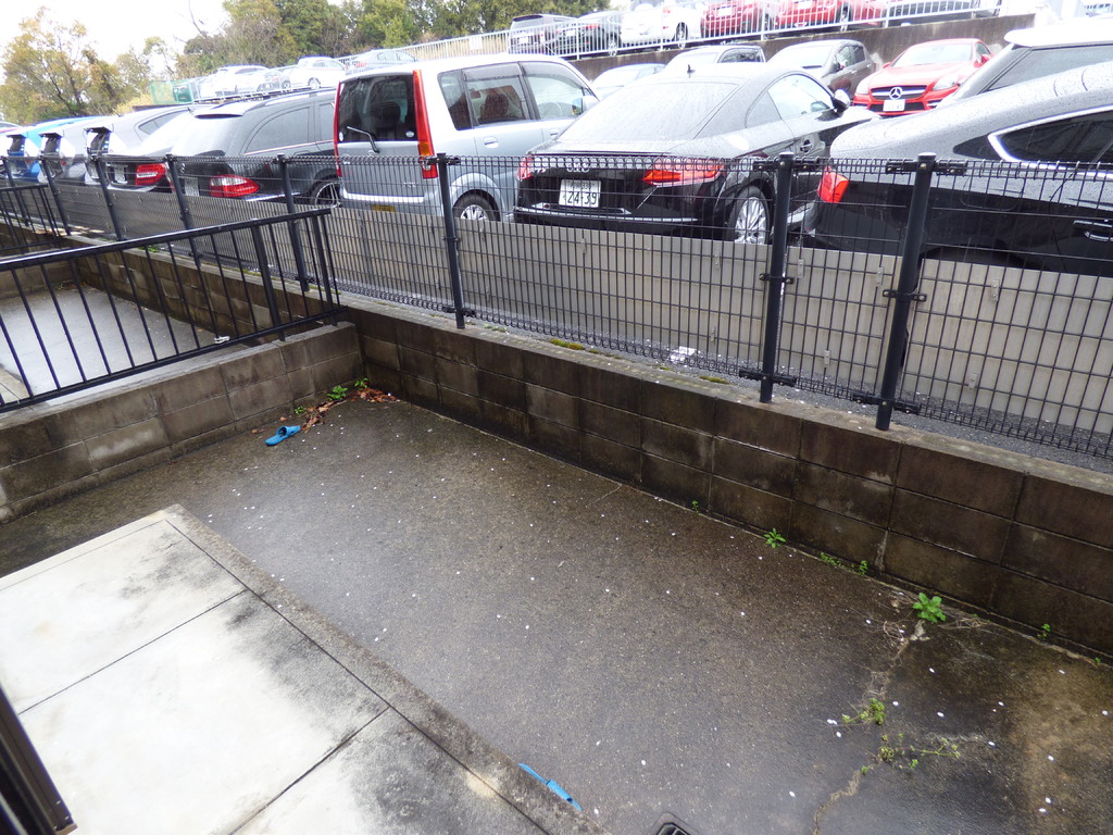 19/29 その他画像