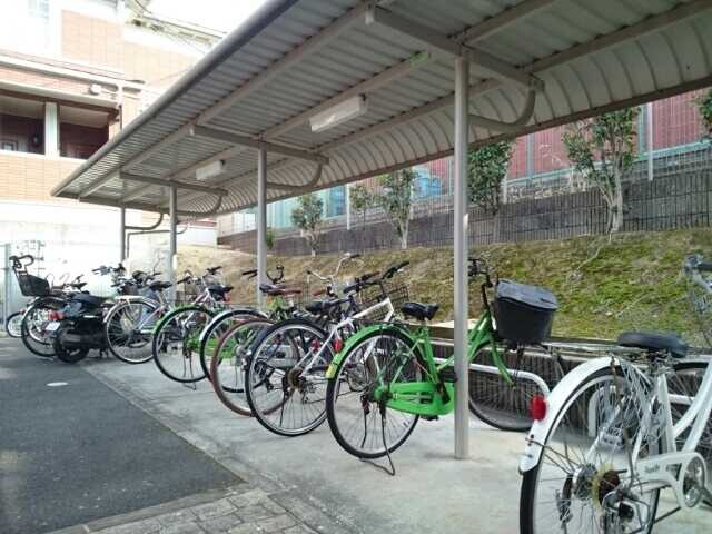 15/19 その他画像