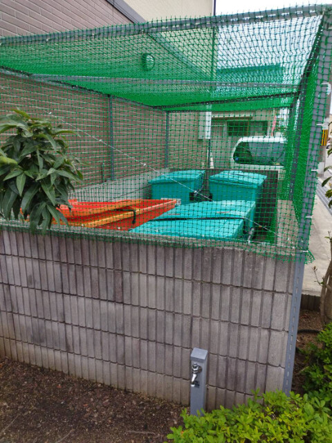 15/21 その他画像